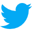 Blue twitter icon